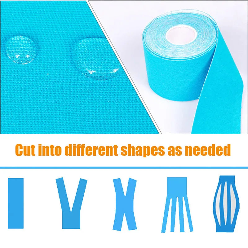 Sa6ac8592c5304587b102afe65a8fc4ceF