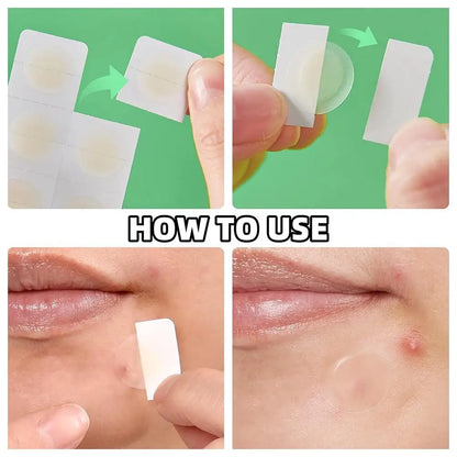 Sc3f129128d2b4327aedfbde4db25e9a4n